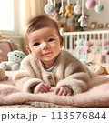 赤ちゃん 113576844