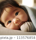 赤ちゃん 113576858