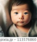赤ちゃん 113576860