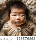 赤ちゃん 113576862
