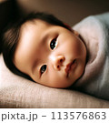 赤ちゃん 113576863