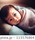 赤ちゃん 113576864