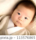 赤ちゃん 113576865