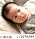 赤ちゃん 113576866