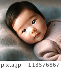赤ちゃん 113576867