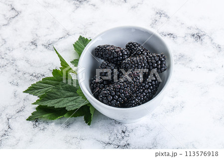 Ripe sweet juicy blackberry heap 113576918