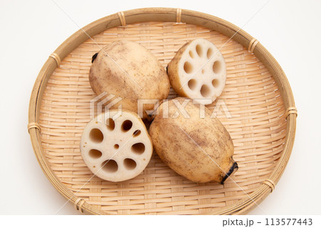 レンコン　蓮根 113577443