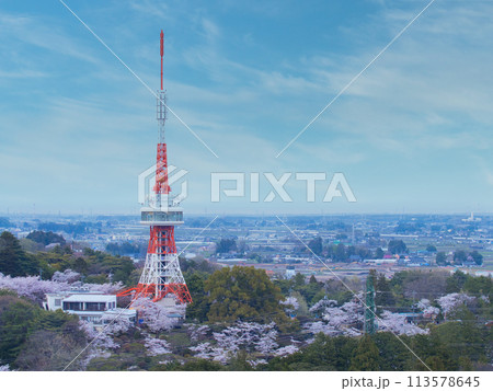 桜と宇都宮タワー 113578645