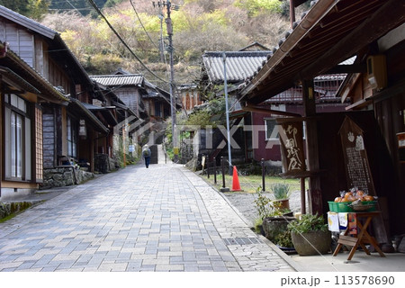 静岡県 江戸時代の街並みが残る宇津ノ谷集落 静岡県 江戸時代の街並みが残る宇津ノ谷集落 113578690