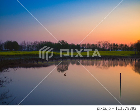 新潟市北区　朝焼けの福島潟 113578892