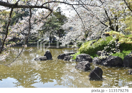中村公園太閤池 中村公園太閤池 113579276