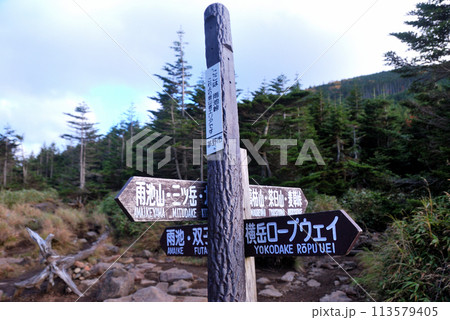 【山の標識】長野県・北八ヶ岳・雨池峠（2012年） 113579405