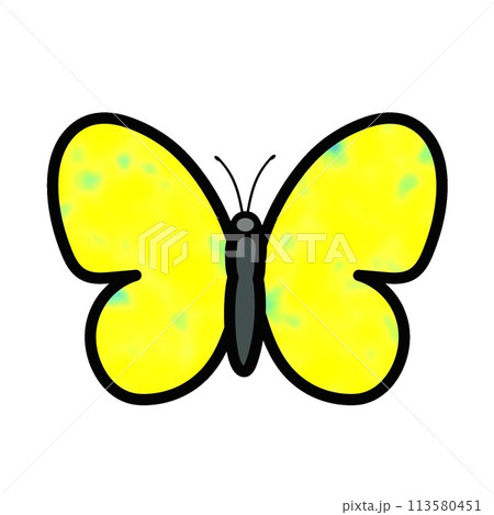 蝶のイラスト 113580451