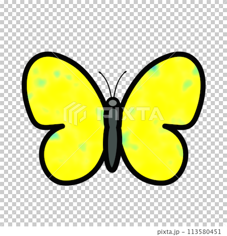 蝶のイラスト 113580451