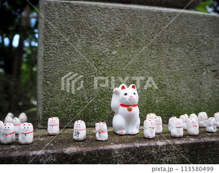 東京の豪徳寺の招き猫たちの写真素材 [113580499] - PIXTA