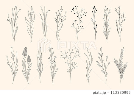Luxury botanical elements. Abstract hand drawn floral decorative elements, vintage elegant floral bouquets and wreaths. Vector isolated collection 113580993
