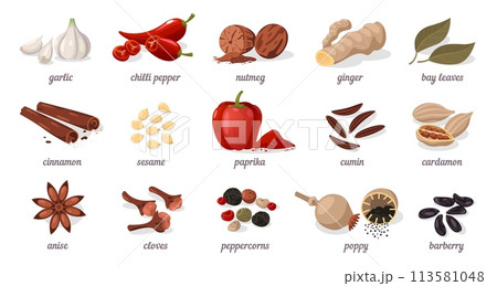 Cartoon spices. Flat dry herbs and condiments for cooking, different seeds and leaves of asian and indian cuisine. Vector isolated set Cartoon spices. Flat dry herbs and condiments for cooking, different seeds and leaves of asian and indian cuisine. Vector isolated set 113581048