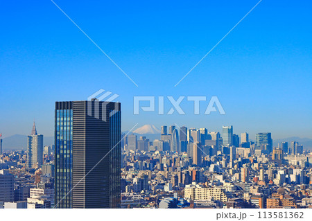 東京都新宿区、富士山と新宿副都心超高層ビル郡の風景 113581362