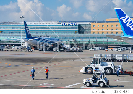 空港　飛行機　羽田空港　離陸　午前　昼　明るい　出発　エンジン　ターミナル　グラウンドスタッフ 113581480
