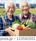 野菜セットのボックスを持つ農家のおじさんたち 113581501
