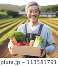 採れたて野菜の箱を持つ畑のおじさん 113581791