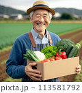 野菜セットの宅配ボックスを持つ農家のおじさん 113581792