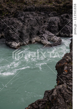 Fast mountain river Katun 113581838