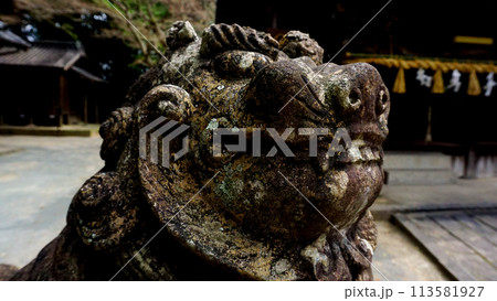 五所八幡宮の狛犬 113581927