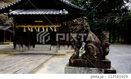 五所八幡宮の狛犬 113581929
