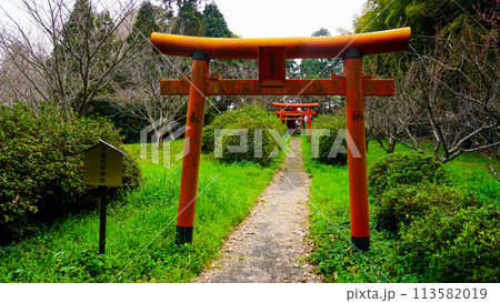 松亀稲荷神社の風景 113582019