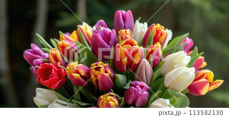 A woman tender grasp cradles a vivid array of tulips 113582130