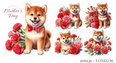 柴犬の子犬と赤いカーネーションの水彩イラストの素材セット 柴犬の子犬と赤いカーネーションの水彩イラストの素材セット 113582236