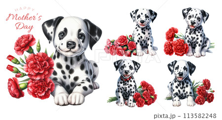 ダルメシアンと子猫の絵 ダルメシアンと子猫の絵 ダルメシアンと子猫の絵 ダルメシアンと子猫の絵