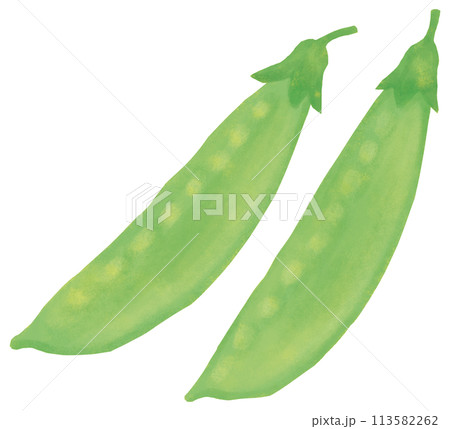 さやえんどう 緑黄色野菜 113582262