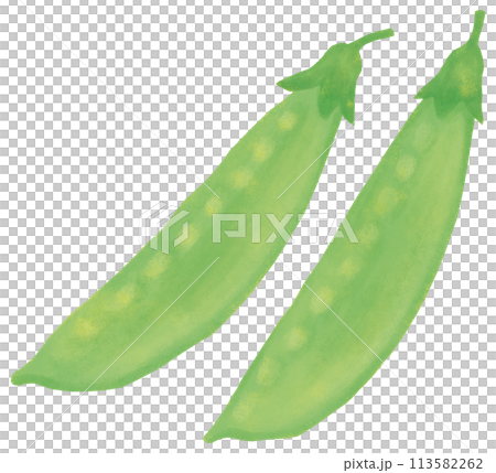 さやえんどう 緑黄色野菜 113582262
