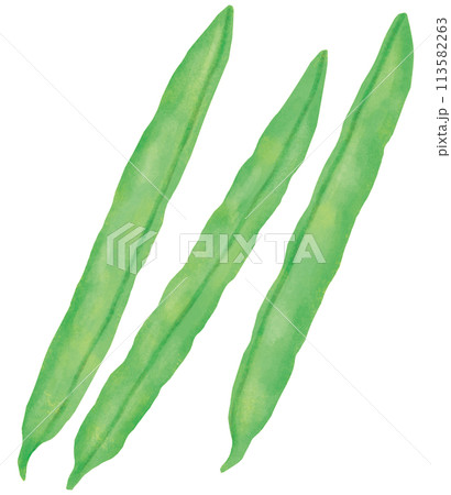 さやいんげん 緑黄色野菜 さやいんげん 緑黄色野菜 113582263