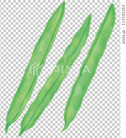 さやいんげん 緑黄色野菜 さやいんげん 緑黄色野菜 113582263