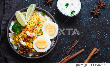 Indian Egg Biryani or anda rice, copy space Indian Egg Biryani or anda rice, copy space 113582330