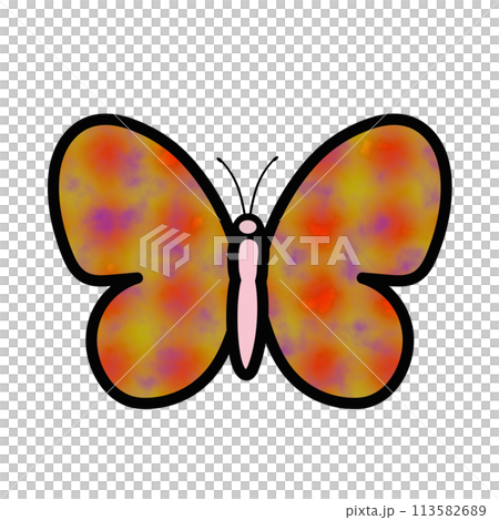 蝶のイラスト 蝶のイラスト 113582689