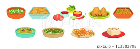 Traditional Indian Food and Served Dish Vector Set 113582708