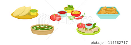 Traditional Indian Food and Served Dish Vector Set 113582717