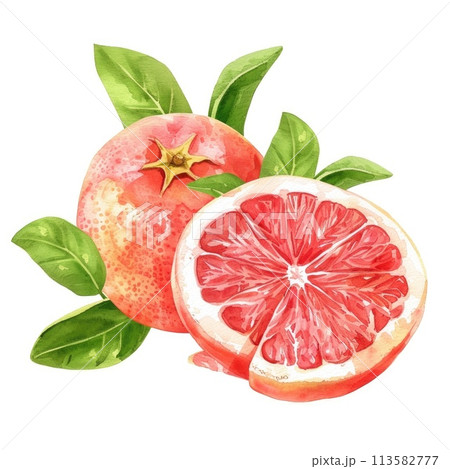 A juicy grapefruit half in watercolor, with a perfect balance of pink and red hues A juicy grapefruit half in watercolor, with a perfect balance of pink and red hues 113582777