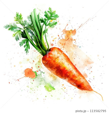 A vibrant carrot in watercolor with dynamic...のイラスト素材 [113582795] - PIXTA
