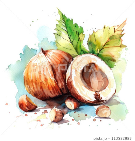 hazelnuts, one cracked open, nestled among vibrant green leaves 113582985