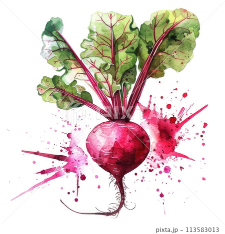 A vivid watercolor illustration of a beetroot, its rich crimson splattered artfully on the canvas 113583013
