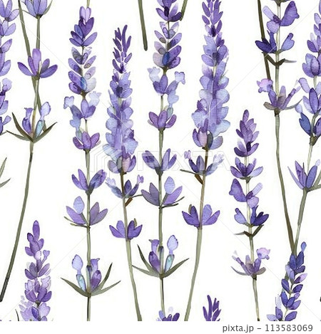 Seamless Lavender Watercolor Pattern for Design and Backgrounds 113583069