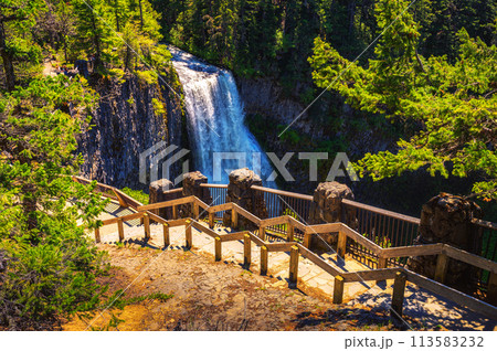 Salt Creek Falls with a wooden railing in Oregon, USA Salt Creek Falls with a wooden railing in Oregon, USA 113583232
