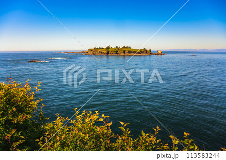 Tatoosh Island from Cape Flattery Observation Deck in Washington State, USA Tatoosh Island from Cape Flattery Observation Deck in Washington State, USA 113583244