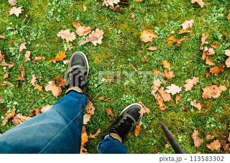 men legs standing on grass field covered with autumn oak leaves 113583302