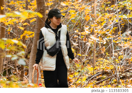 woman with basket looking for mushrooms in autumn forest 113583305